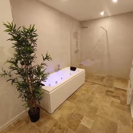 Evasion Douce,spa Balneo Apartment Sainte-Foy-la-Grande